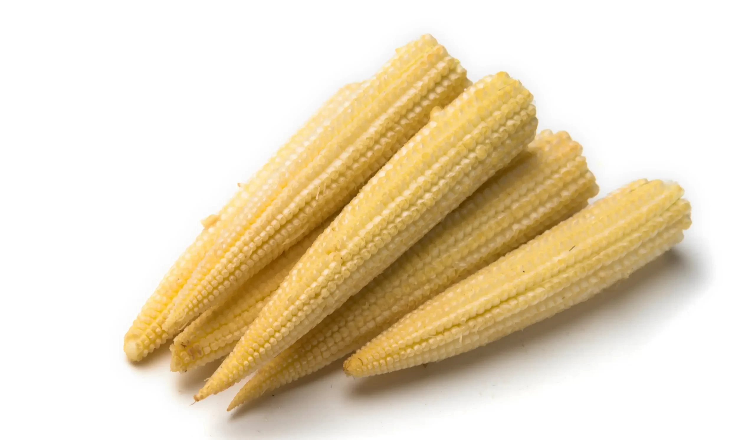 Baby Corn