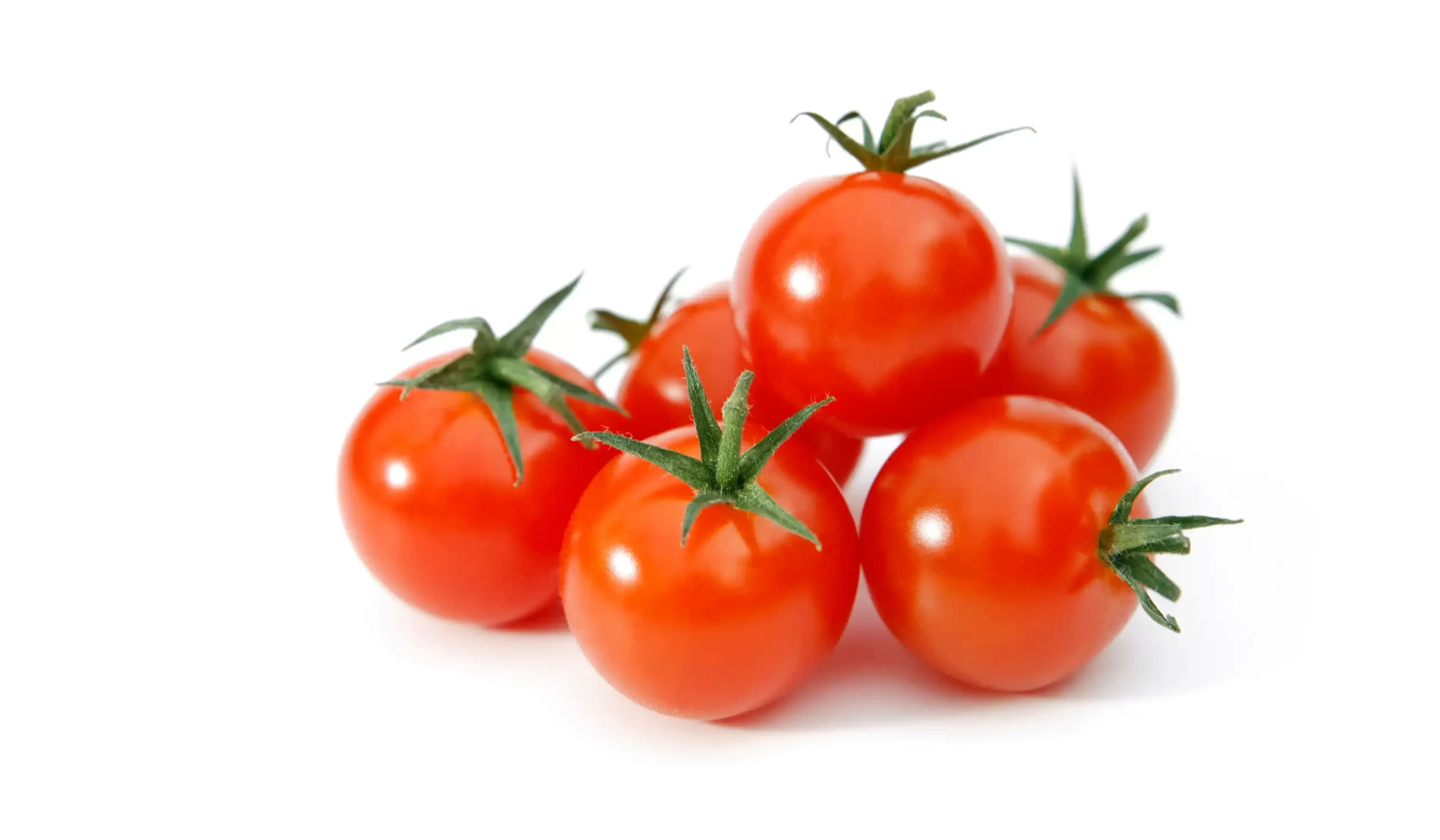 Tomato