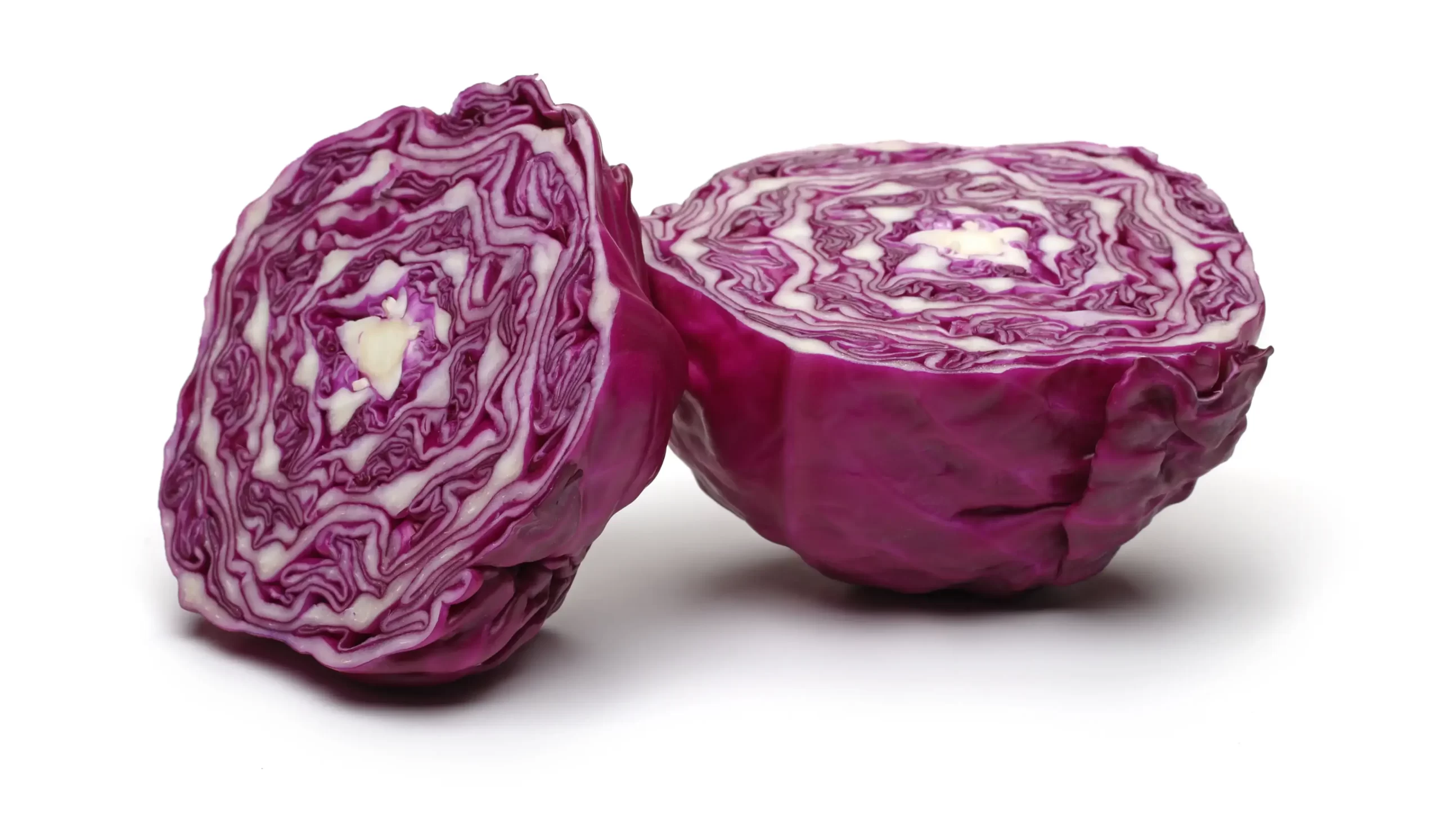 Red Cabbage