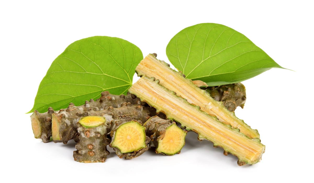 Tinospora Cordifolia