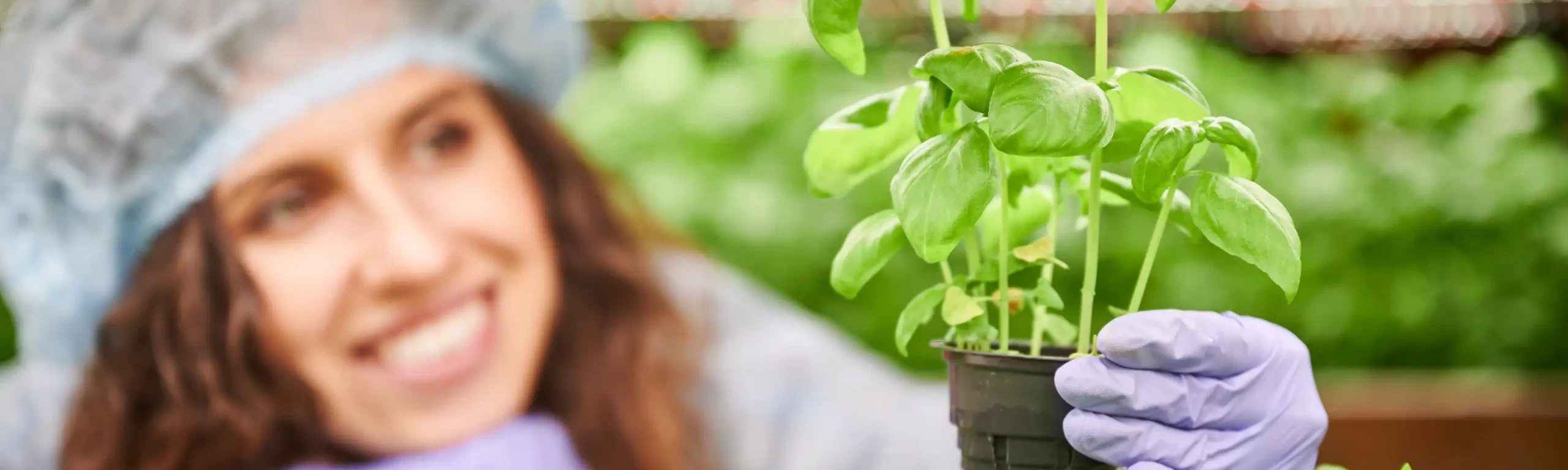 Bio Herb PopUp