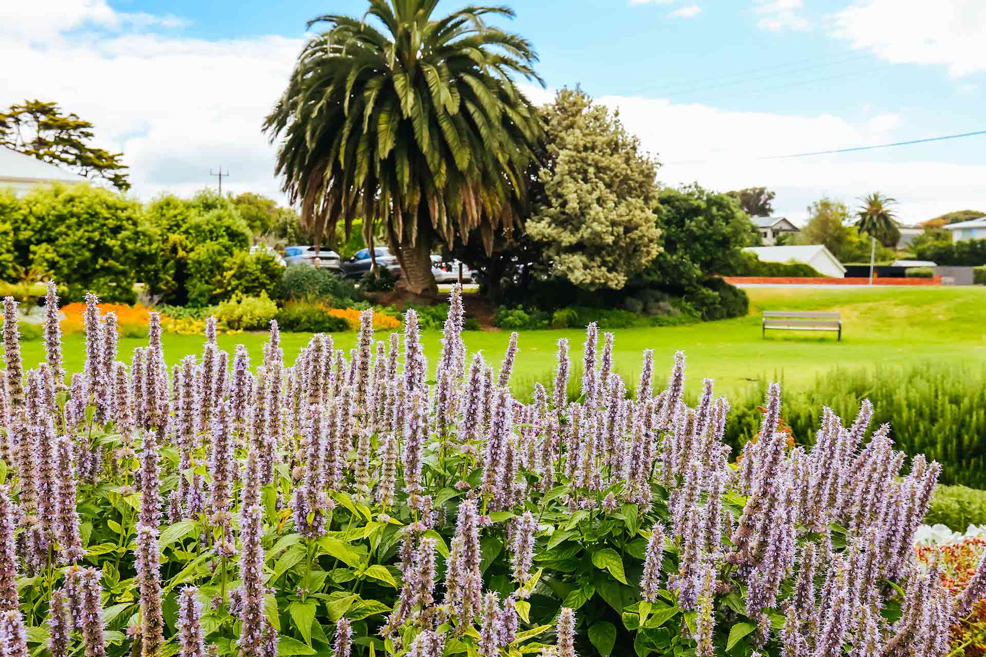 Pioneer Memorial Gardens