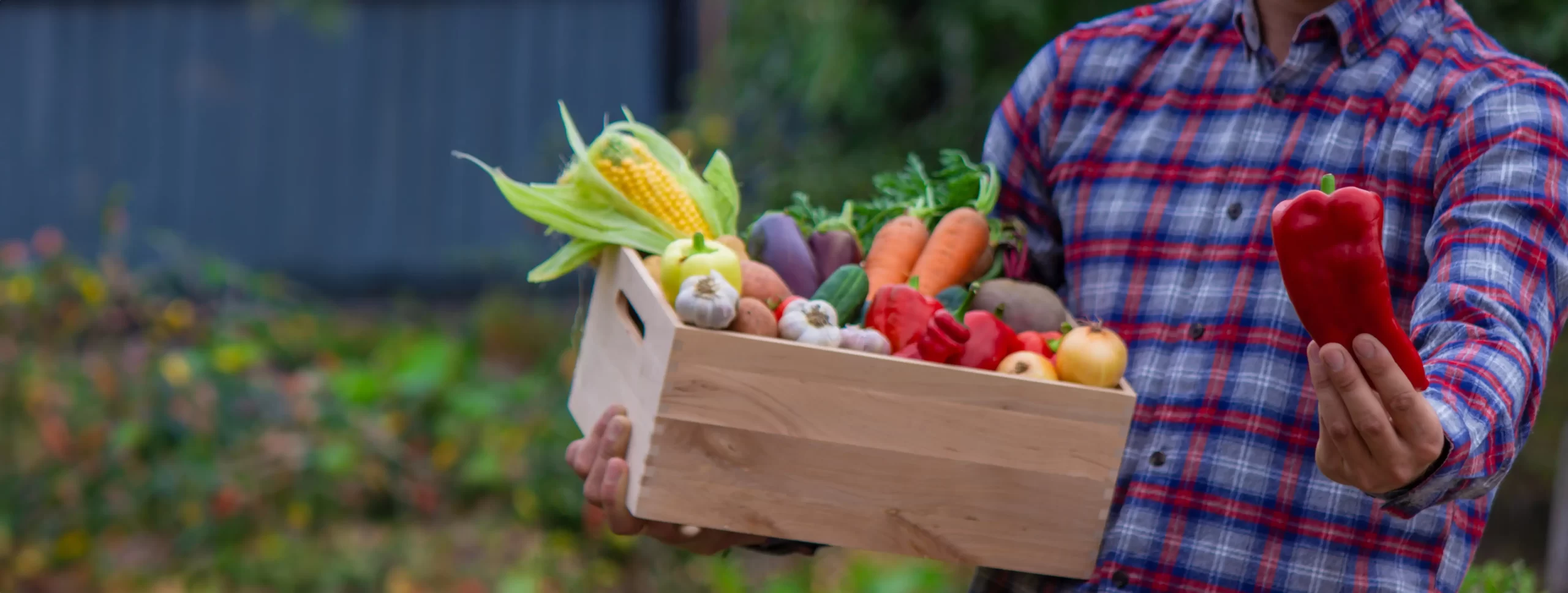 Vegetable Popup