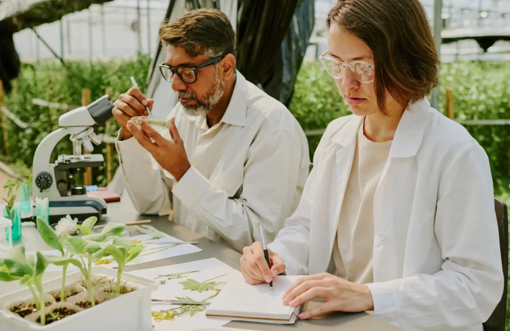 Research&development Research&development