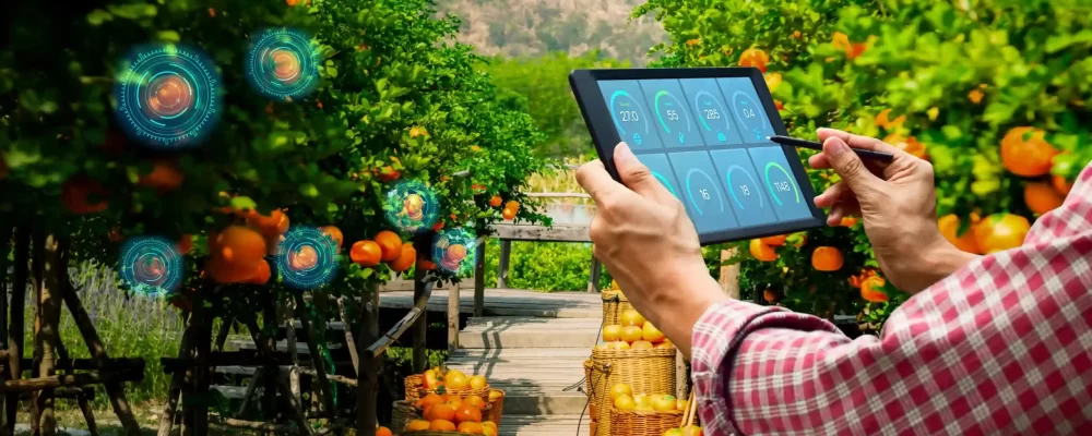 Farming Marketing